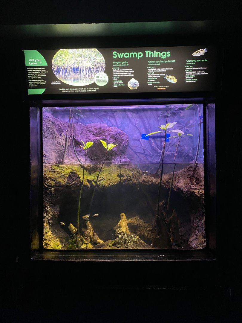 Former Suriname Toad Exhibit