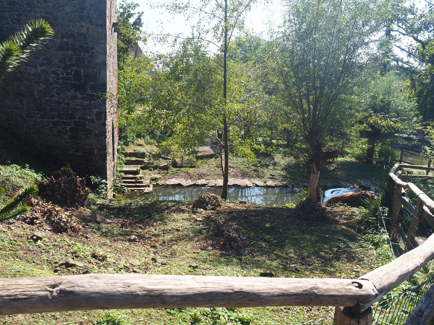 Former swan exhibit next to the Saint Bernard tower, now connected to the South American exhibit, 2021-09-03
