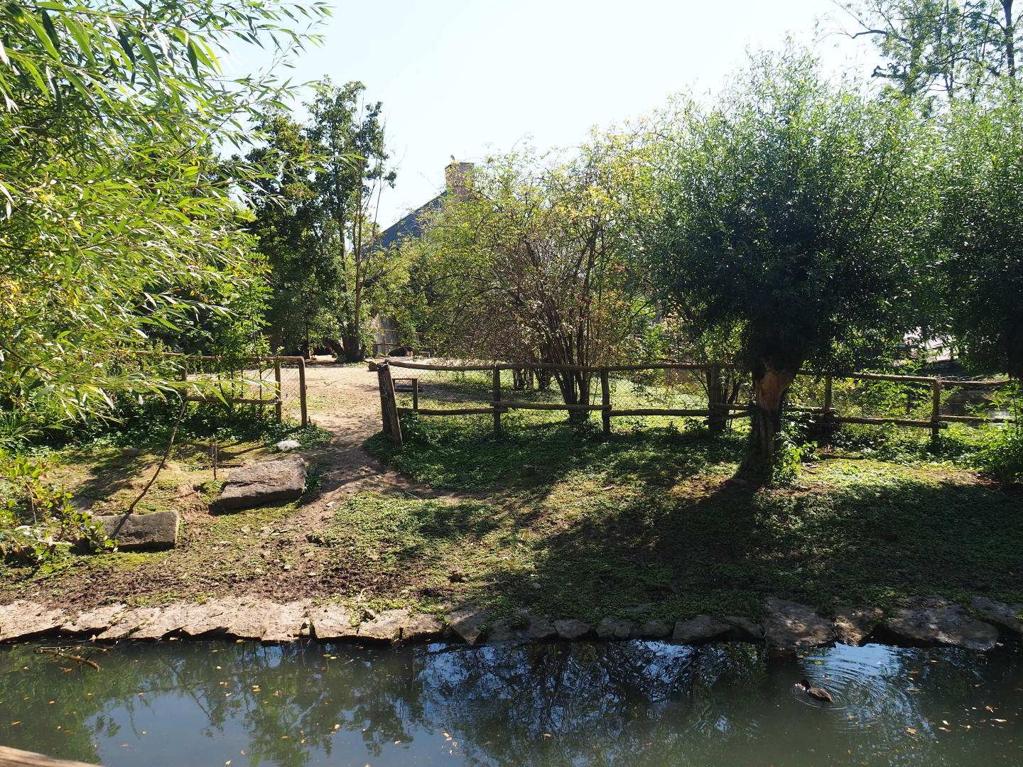 Former swan exhibit next to the Saint Bernard tower, now connected to the South American exhibit, 2021-09-03