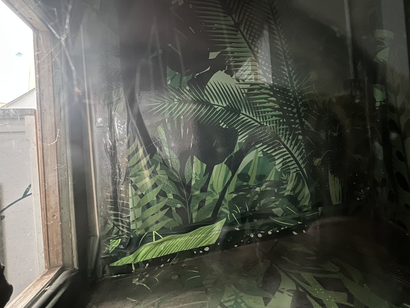 Former taiwan beauty snake terrarium (empty) 17.7.23