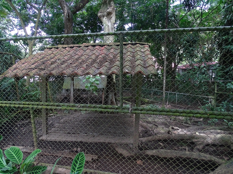 Former tapir enclosure