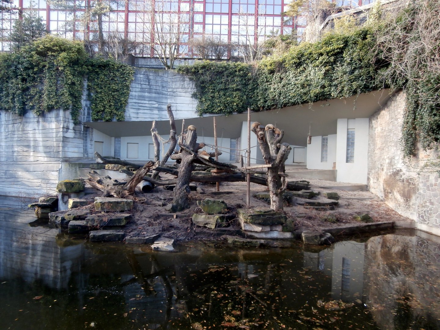 Former tiger enclosure; now temporarily home to coatis