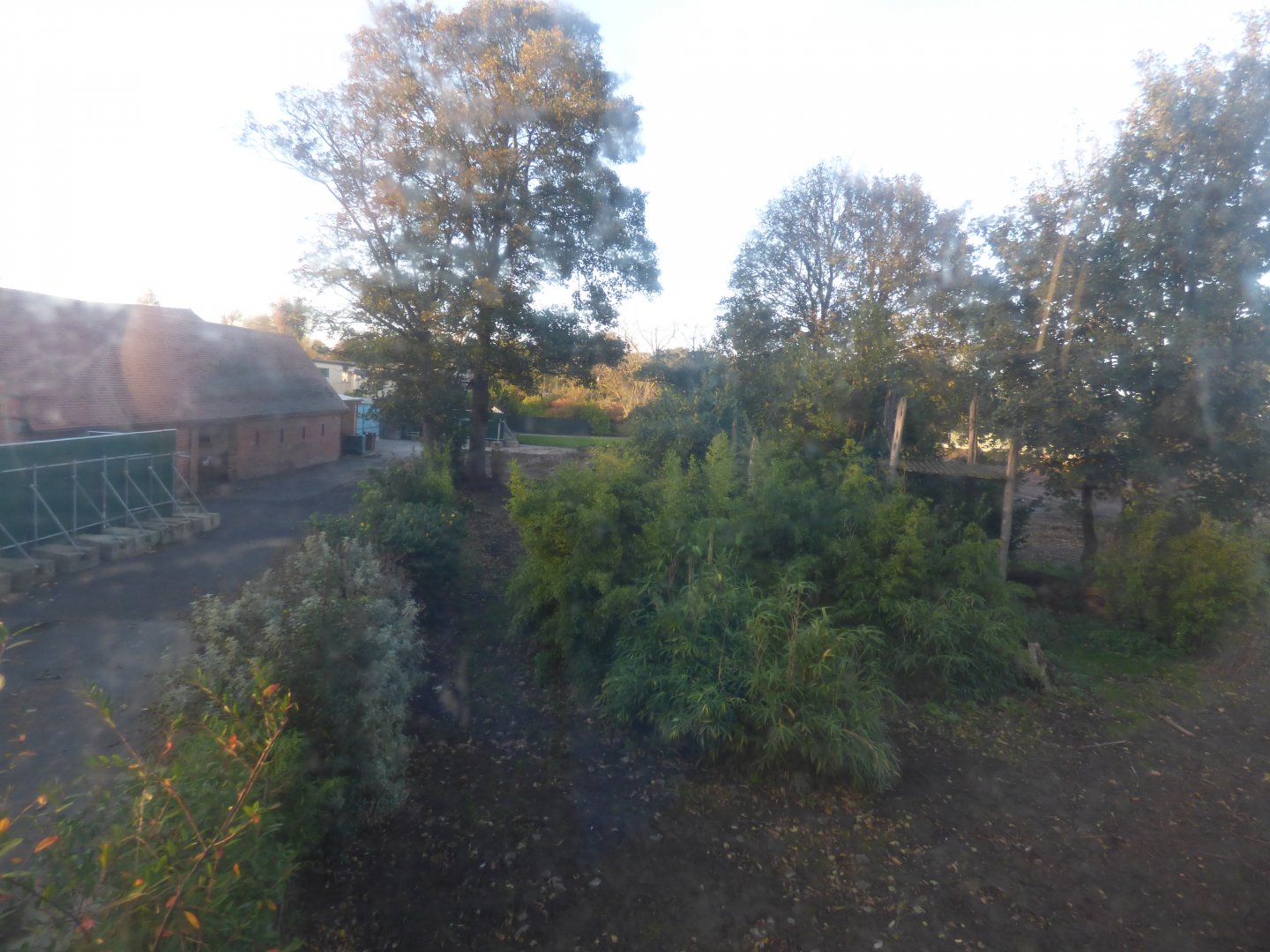 Former Tiger/Sun Bear enclosure now demolished