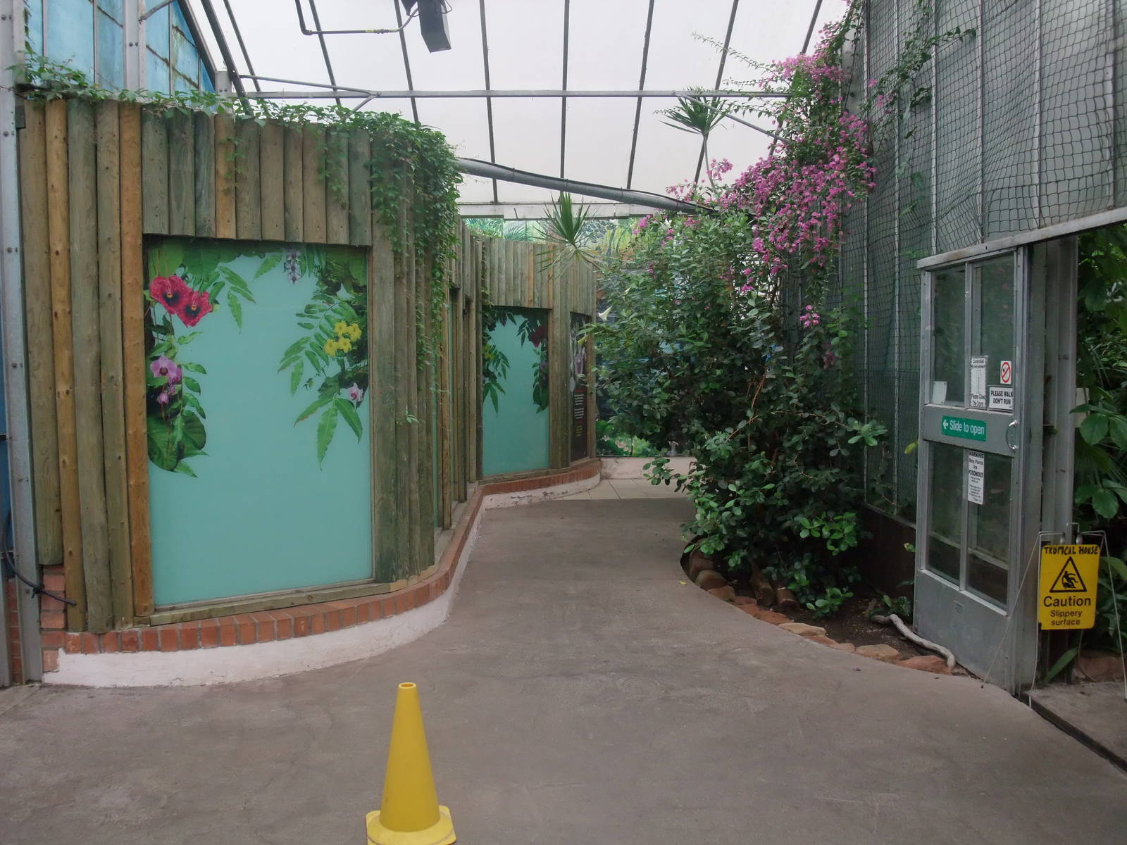 Former Toco Toucan Exhibit at the Palms: Final Visit, 08/08/10