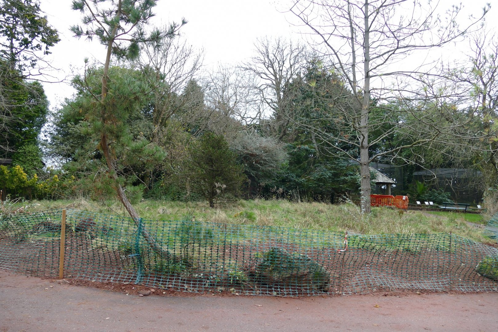 Former Tortoise enclosure, December 2021