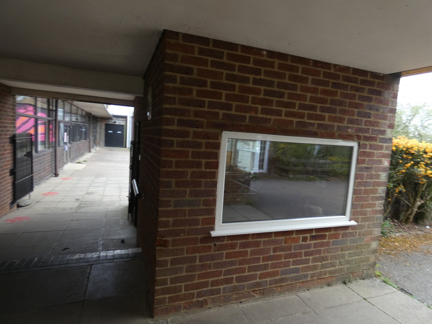 Former tortoise enclosure viewing window