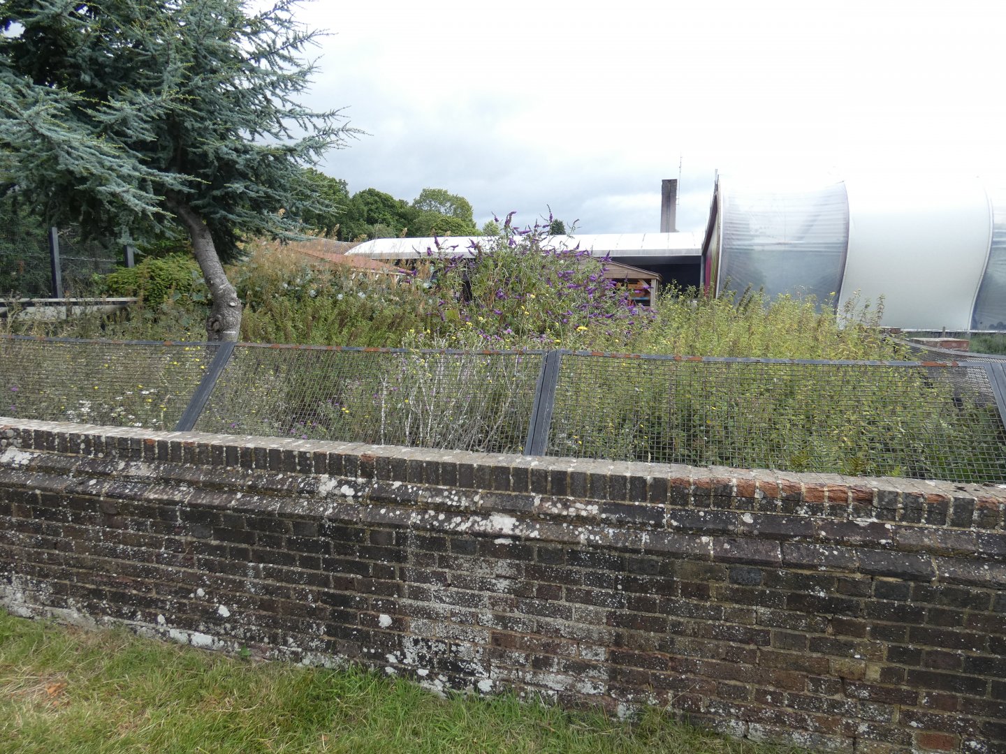Former tortoise enclosure