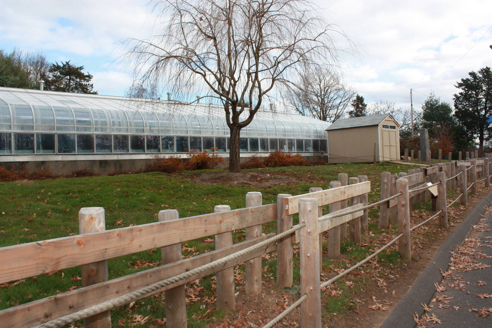 Former Tortoise Exhibit