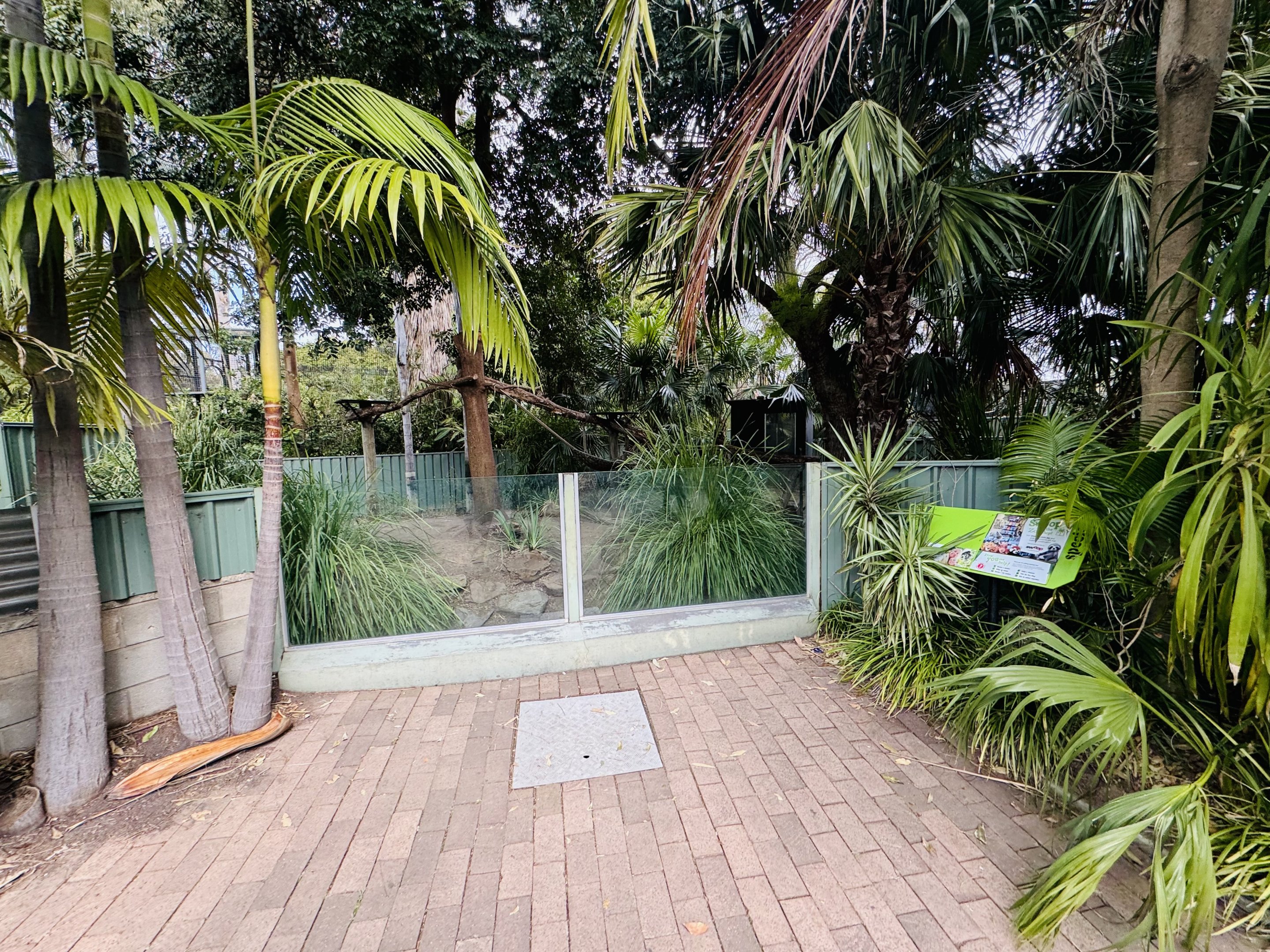 Former tree-kangaroo enclosure