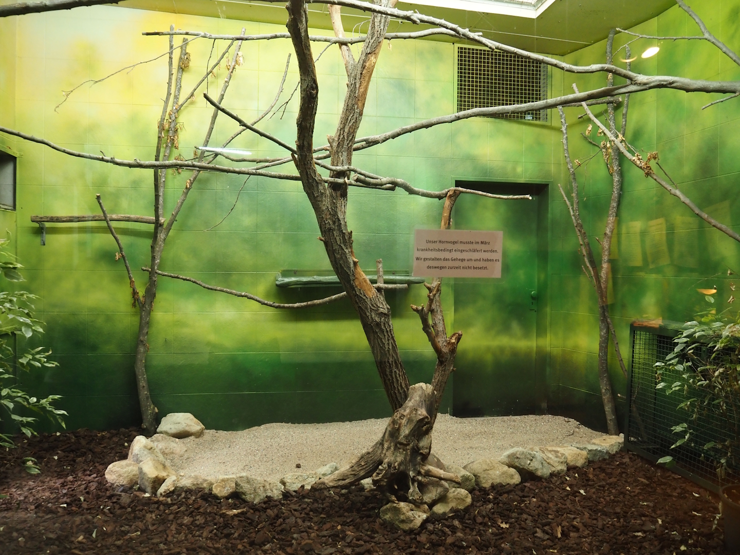 Former Trumpeter hornbill and Vulturine guineafowl indoor aviary, 2025-05-22