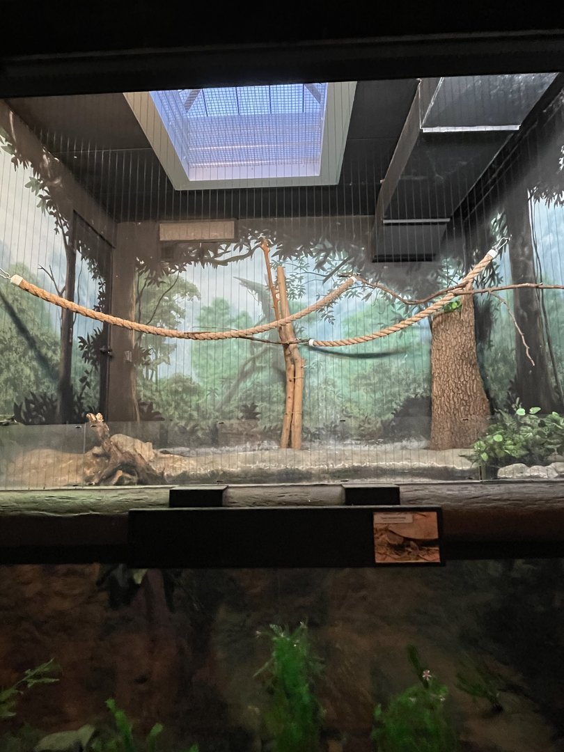 Former Turaco Exhibit (10/22/23)