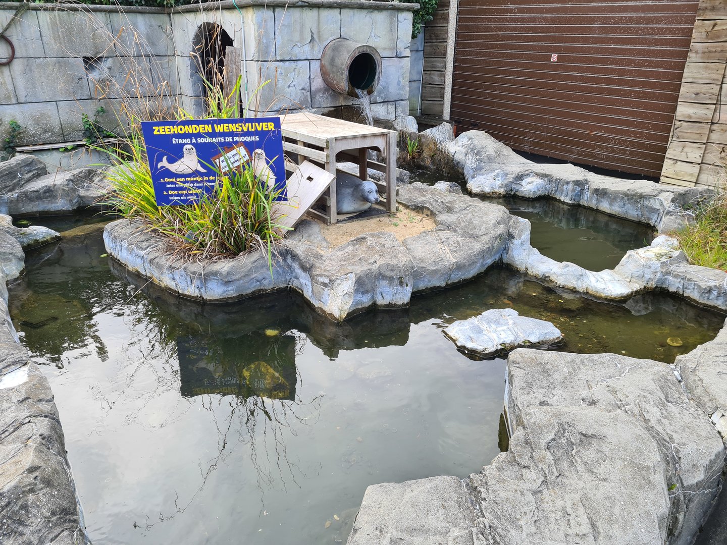 Former turtle pond (now used to collect coins)