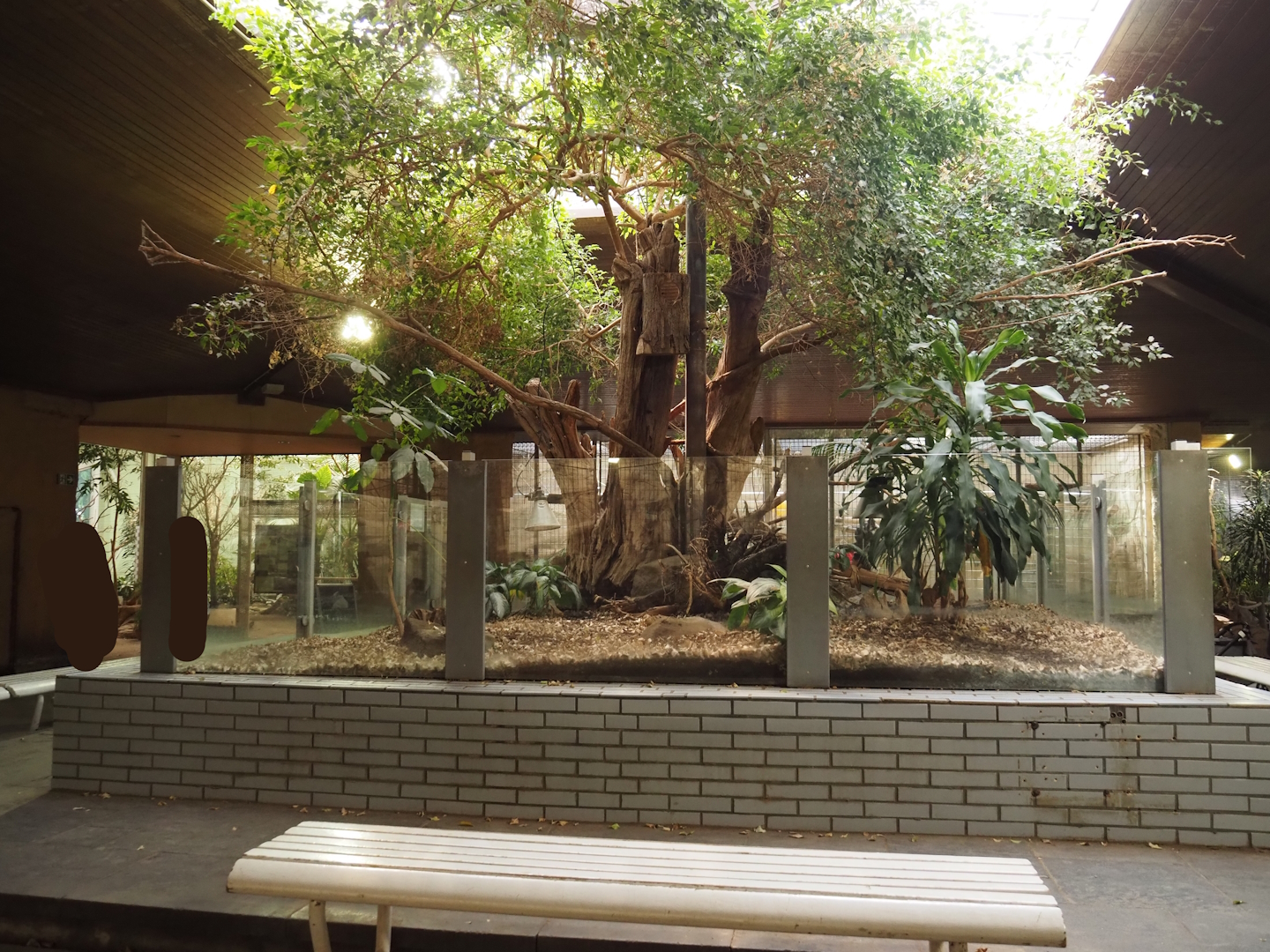 Former two-toed sloth exhibit (main hub) in the Äquatorium, 2024-06-08