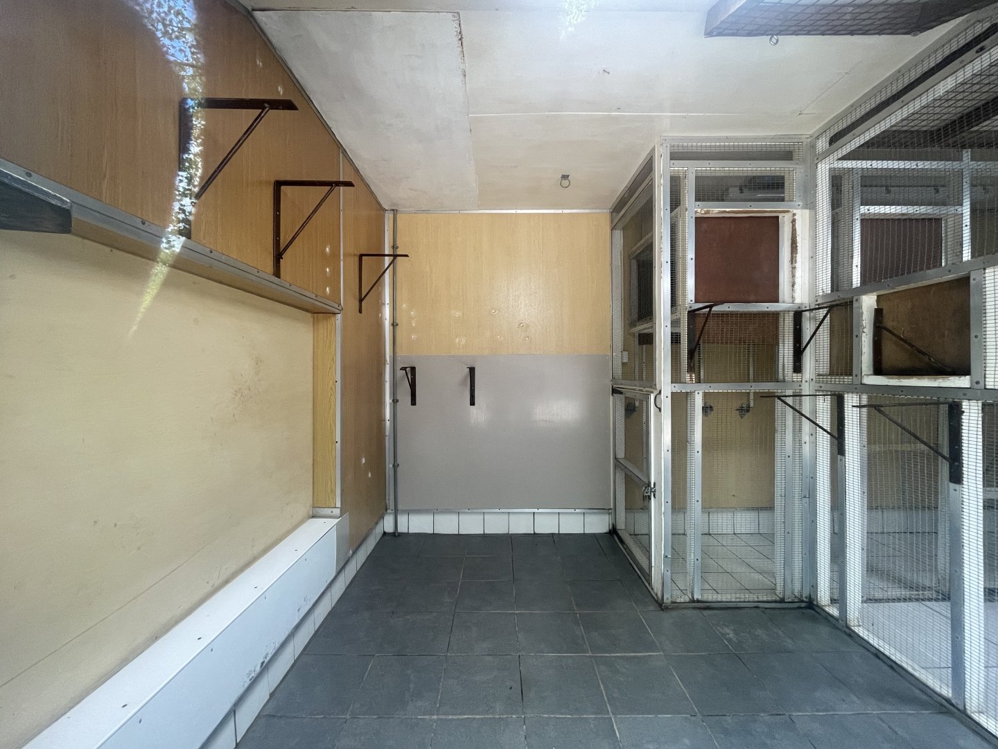 Former Variegated Spider Monkey Exhibit