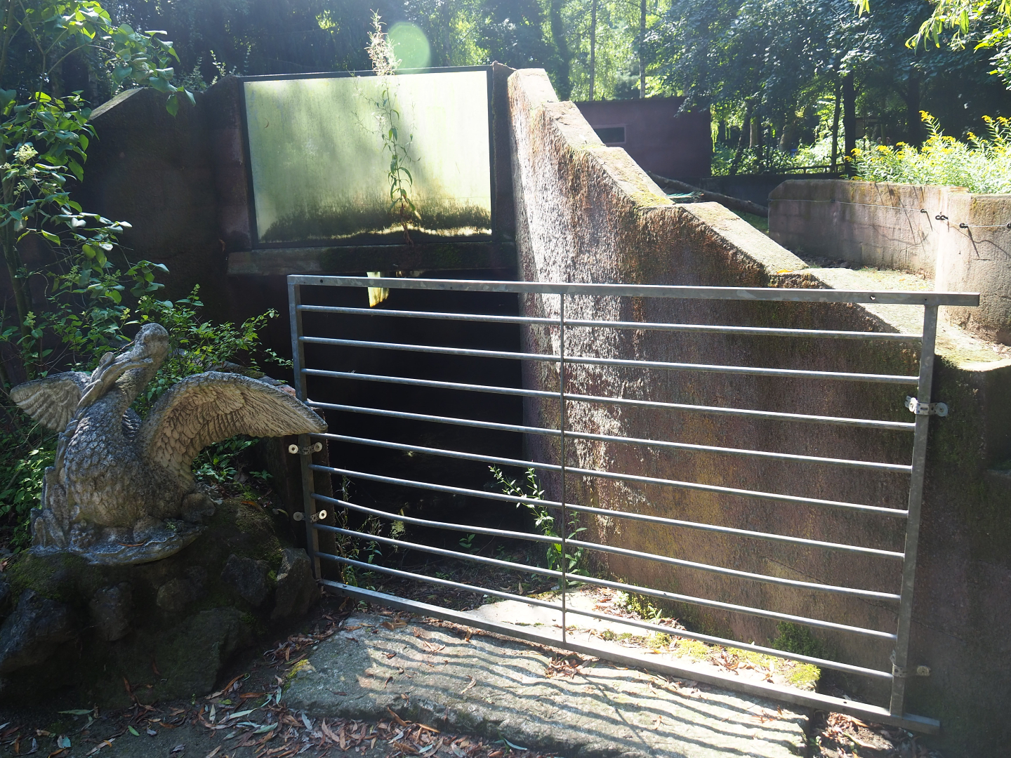 Former viewing area, now flooded and filled with filthy water and crap, 2019-08-04