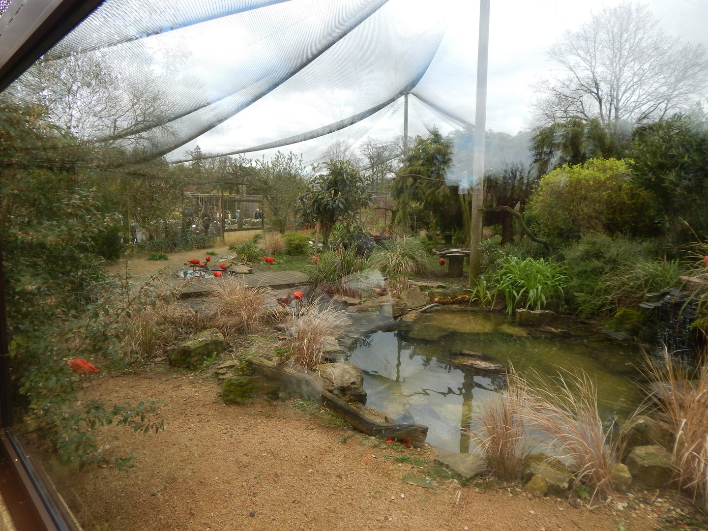 Former Walkthrough Aviary in Walled Garden 280423