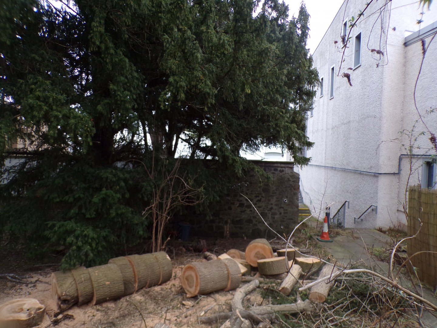 Former wall around old bird section (before Budongo was built)  1.3.25
