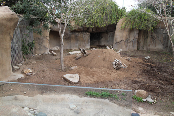 Former warty pig exhibit (unoccupied)