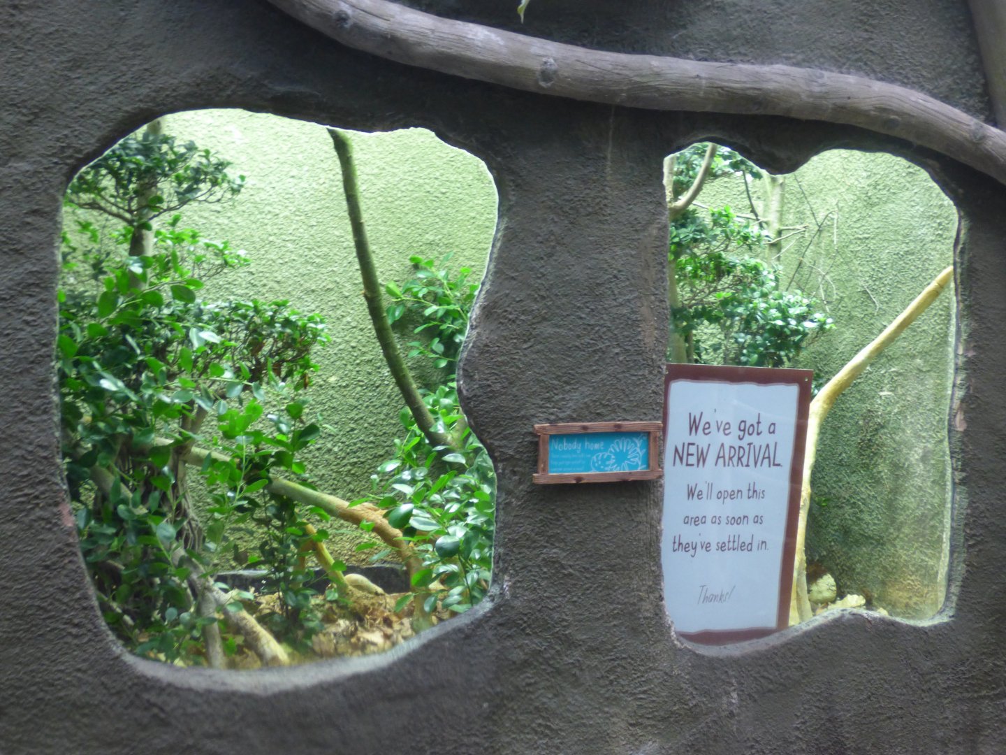 Former Water dragon enclosure