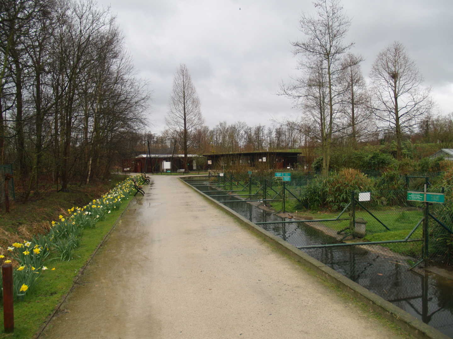 Former waterfowl breeding area where the South American aviary is now located, 2007-03-18