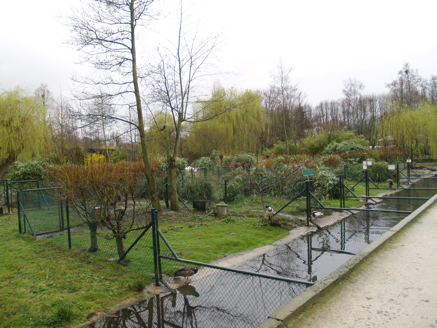 Former waterfowl breeding area where the South American aviary is now located, 2007-03-18