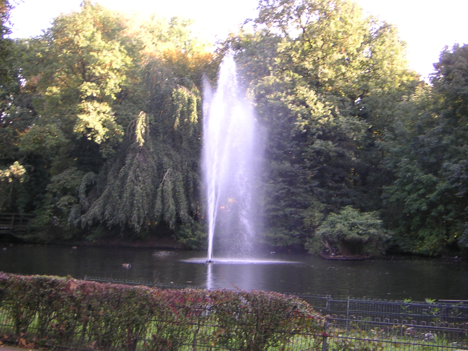 Former waterfowl lake at Gelsenkirchen