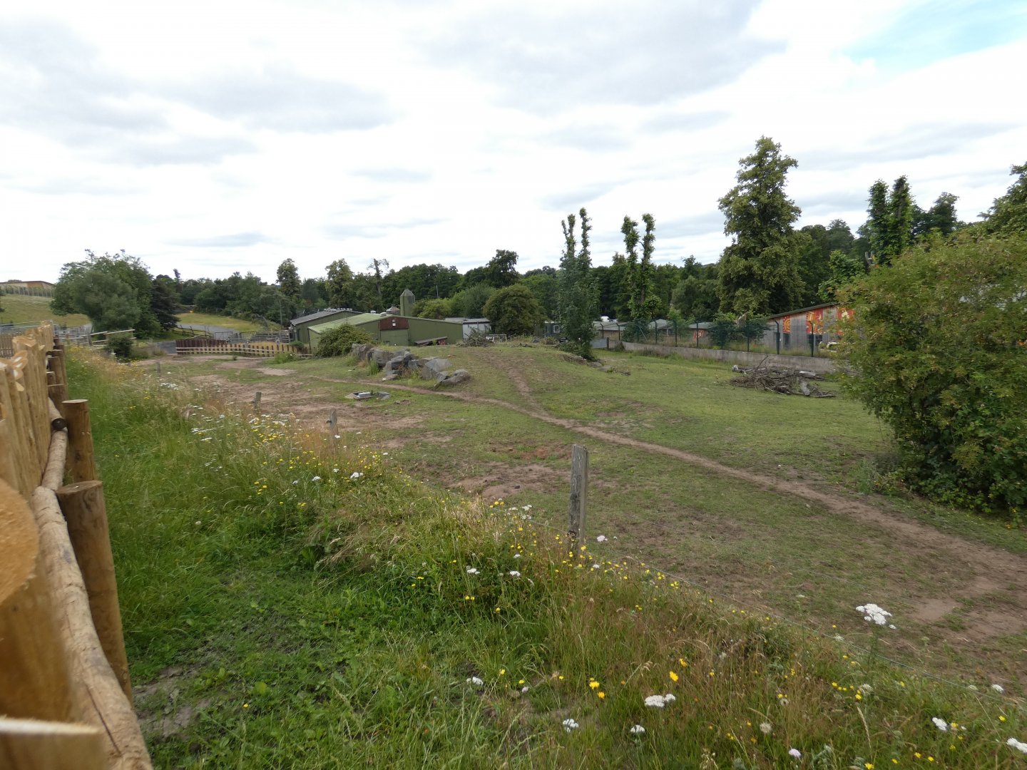 Former white rhino hardstanding enclosure (holding a Grevy's zebra stallion)