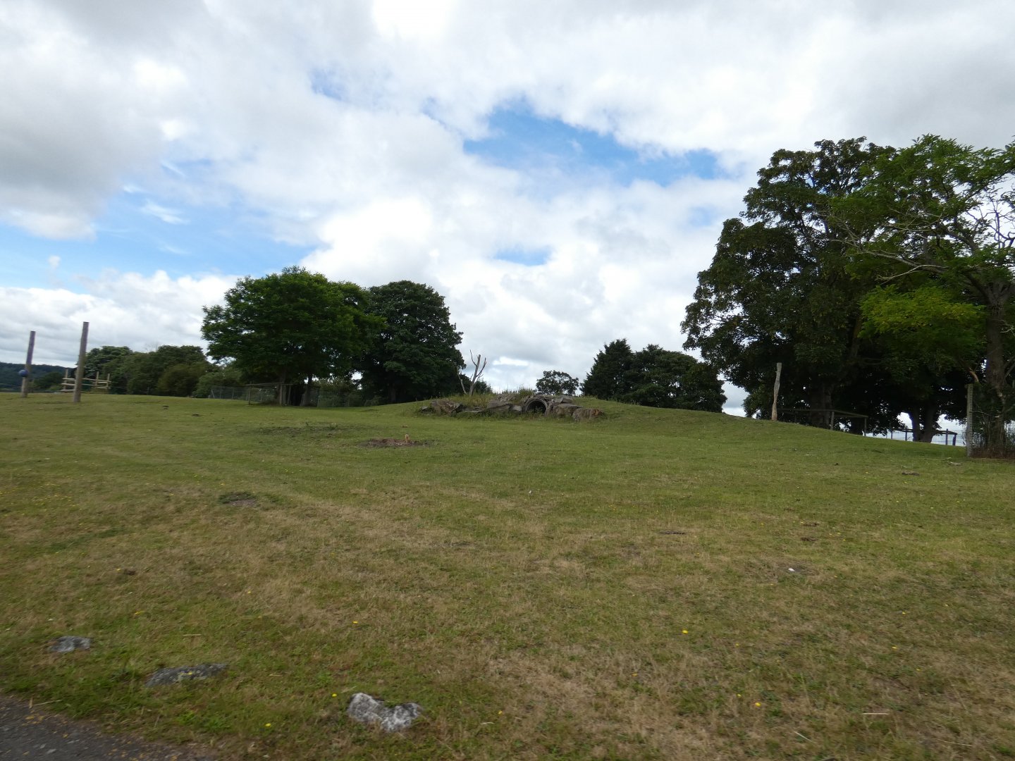 Former white tiger drive-through enclosure