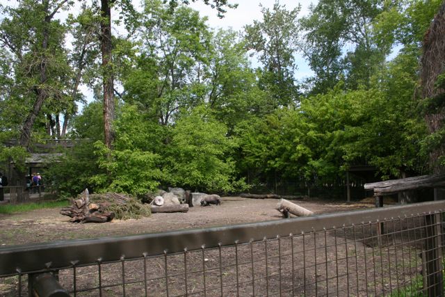 Former Wild Boar Enclousure