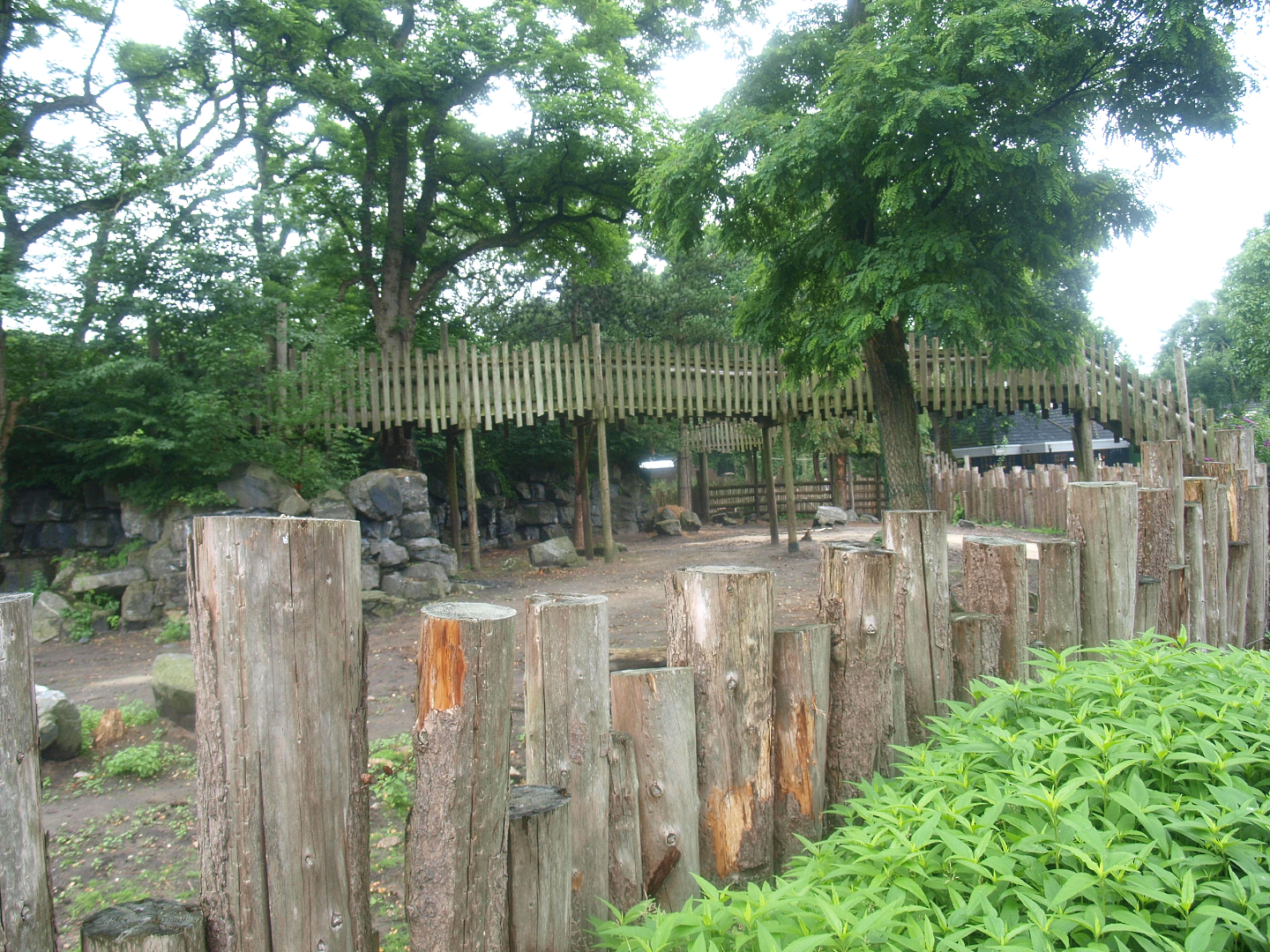 Former Wild West exhibit, home to Bactrian camels for Wildlands at the time, 2015-07-19