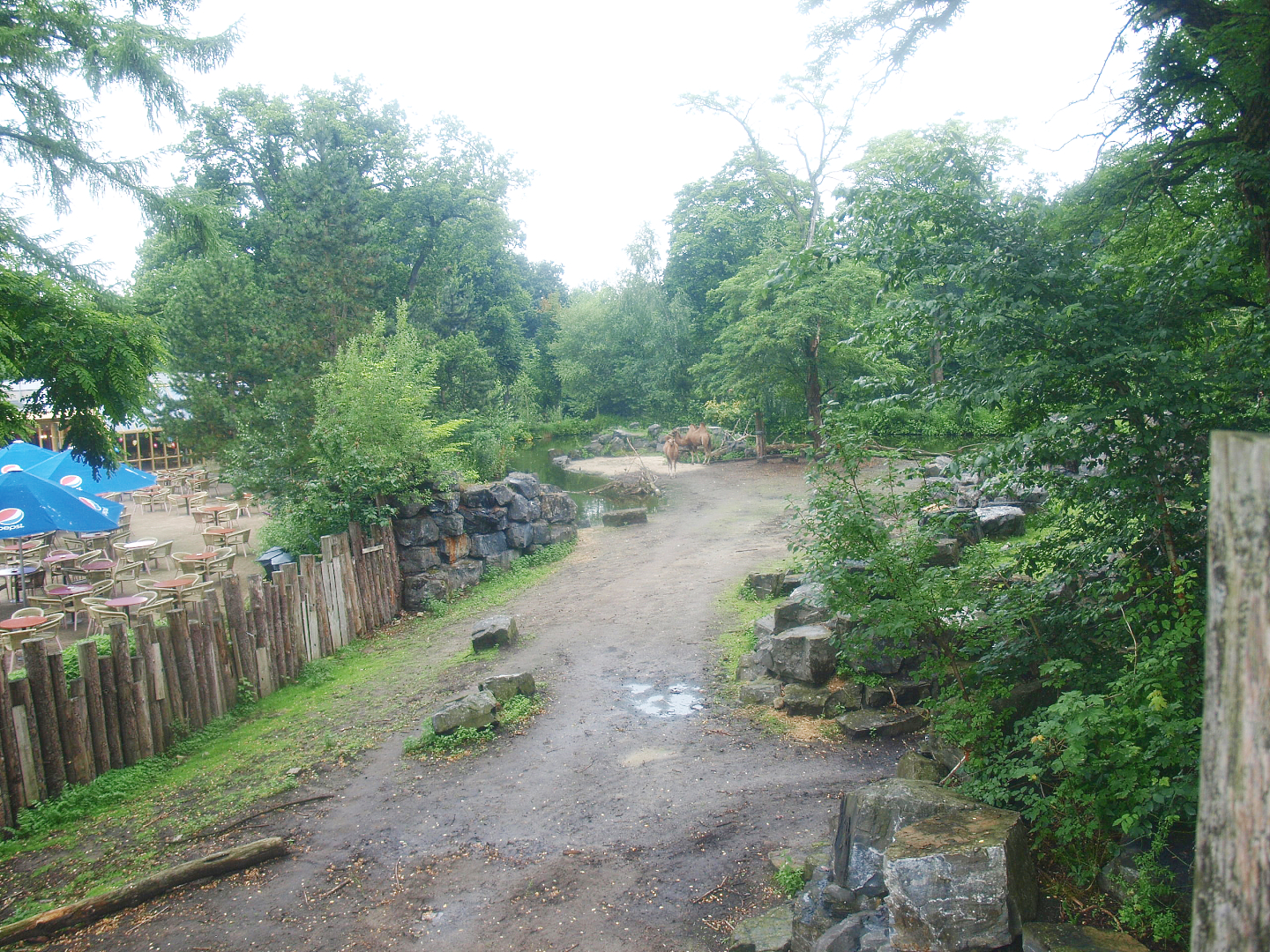 Former Wild West exhibit, home to Bactrian camels for Wildlands at the time, 2015-07-19