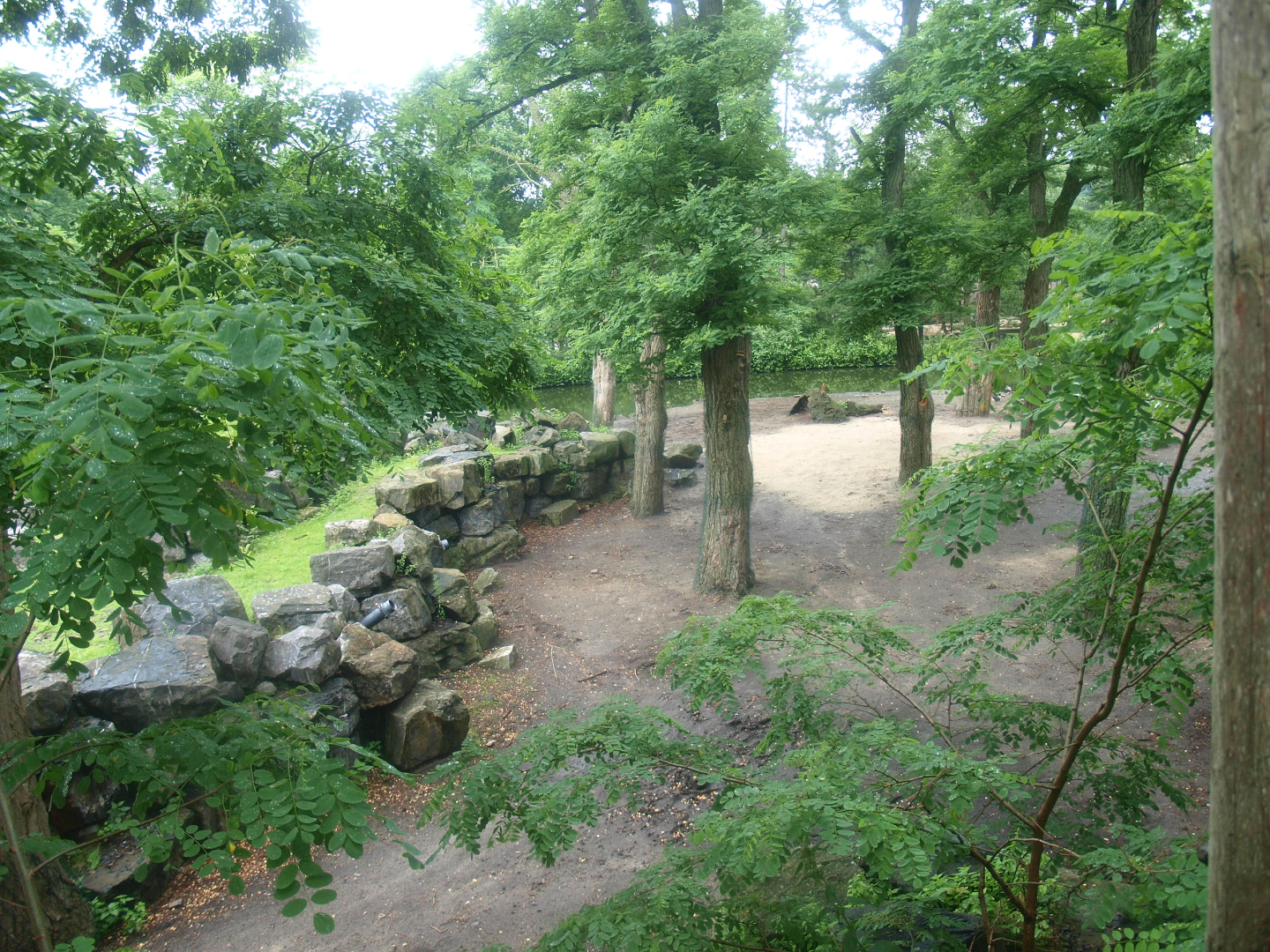 Former Wild West exhibit, home to Bactrian camels for Wildlands at the time, 2015-07-19
