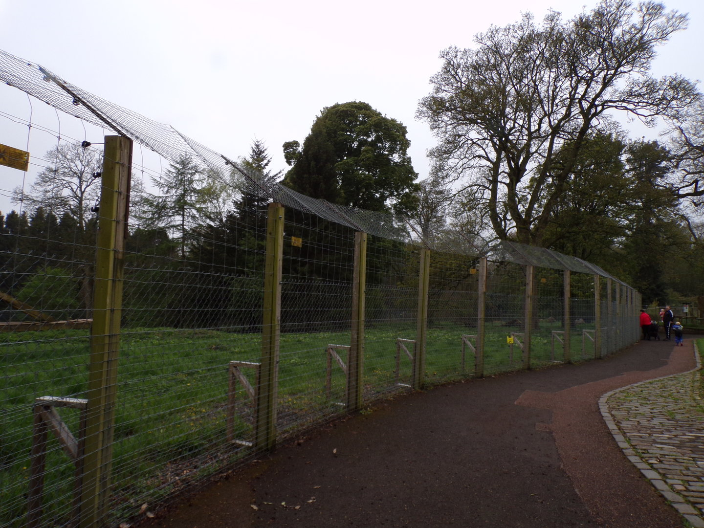 Former wolf enclosure 7.5.23