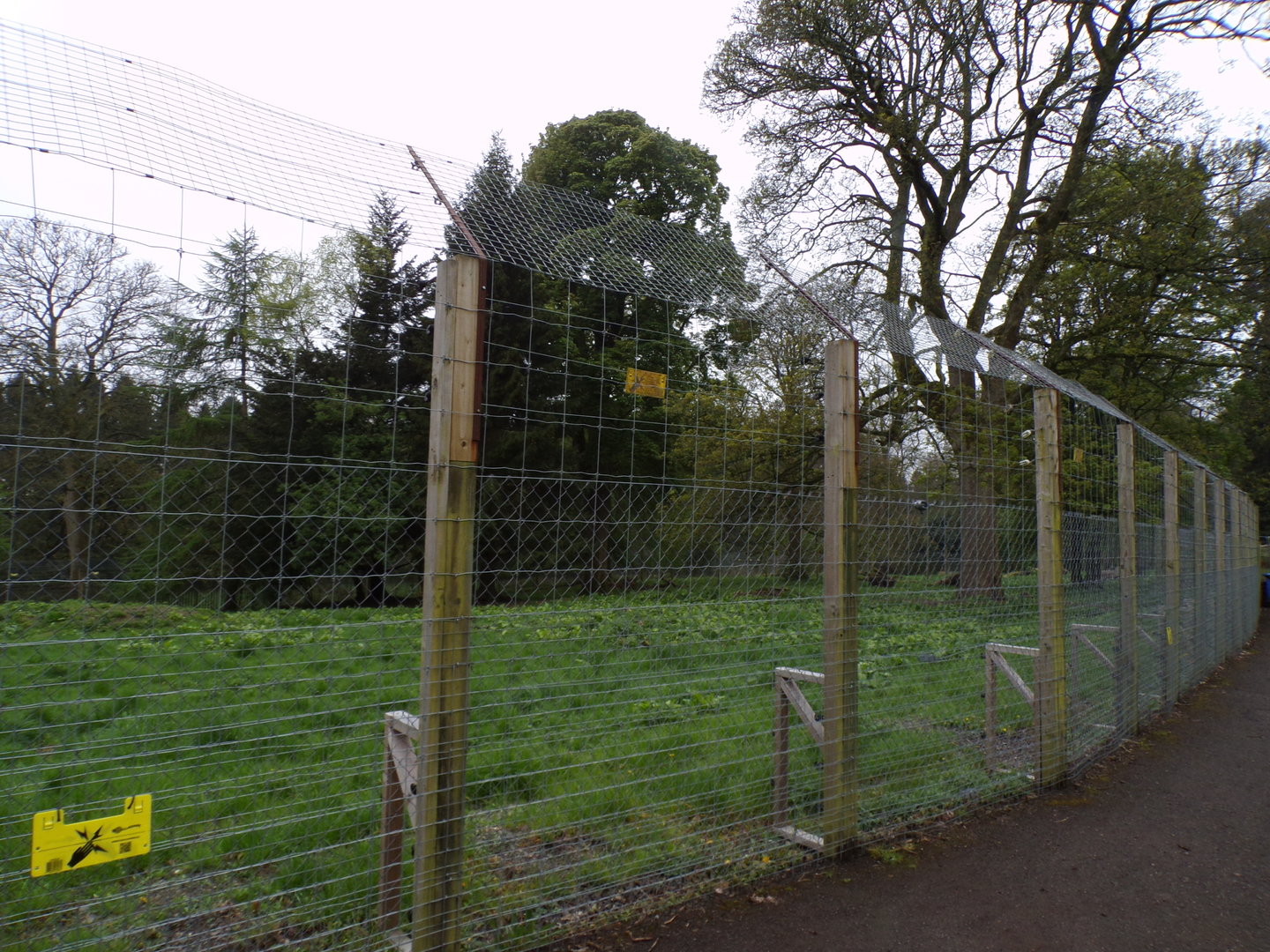 Former wolf enclosure 7.5.23