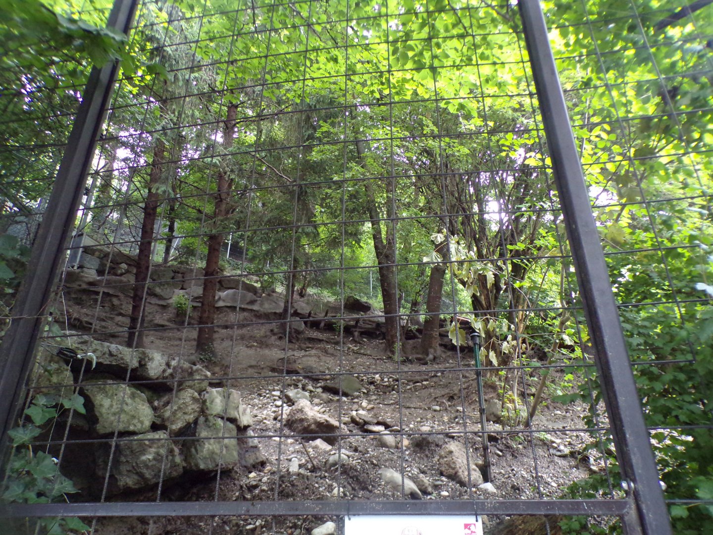 Former wolf enclosure 9.7.25