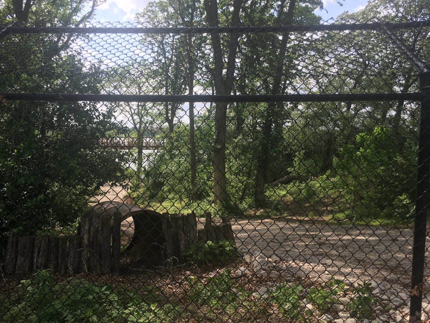 Former Wolf Exhibit