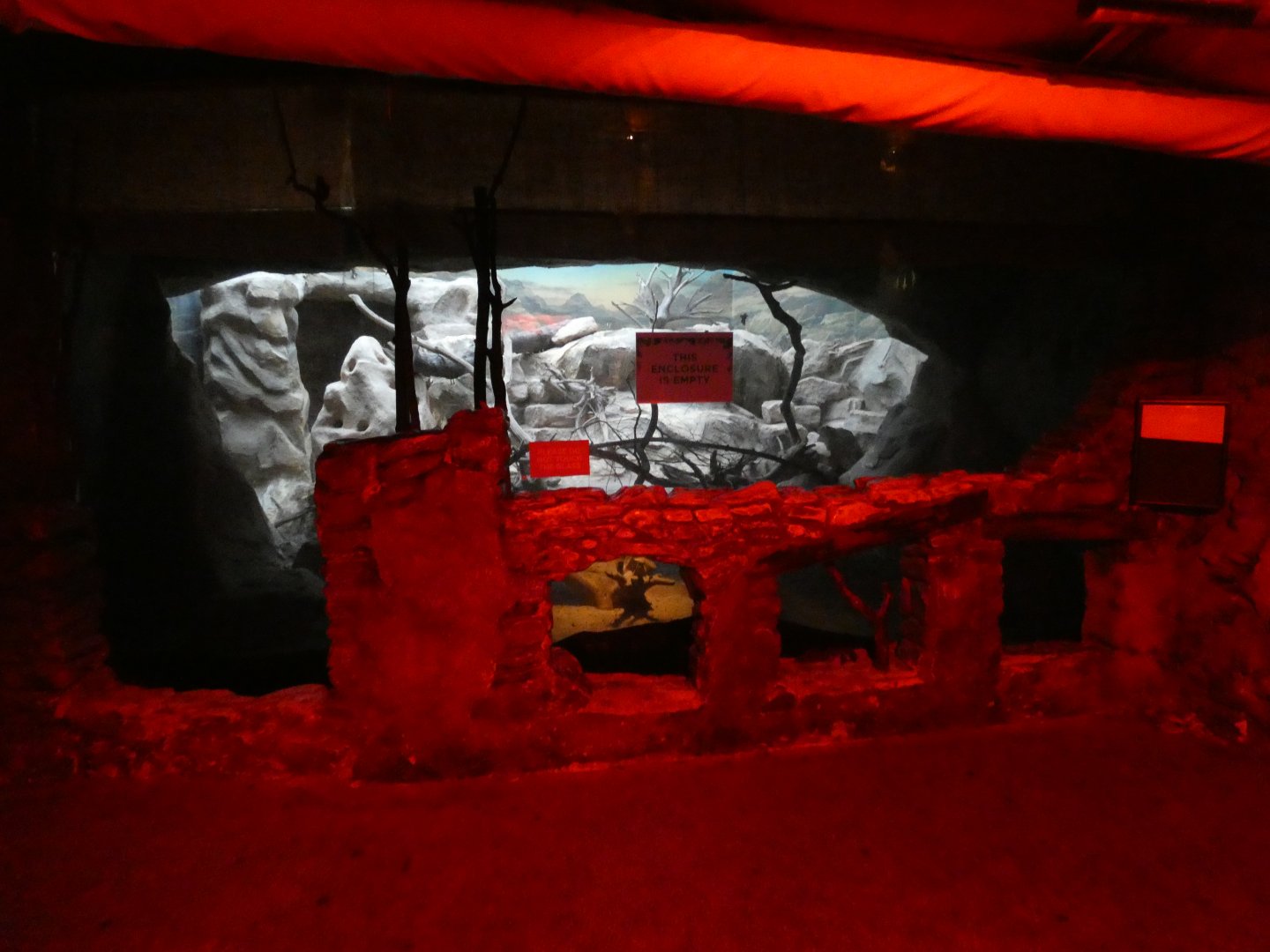 Former Yellow mongoose enclosure (Twilight World Desert area)