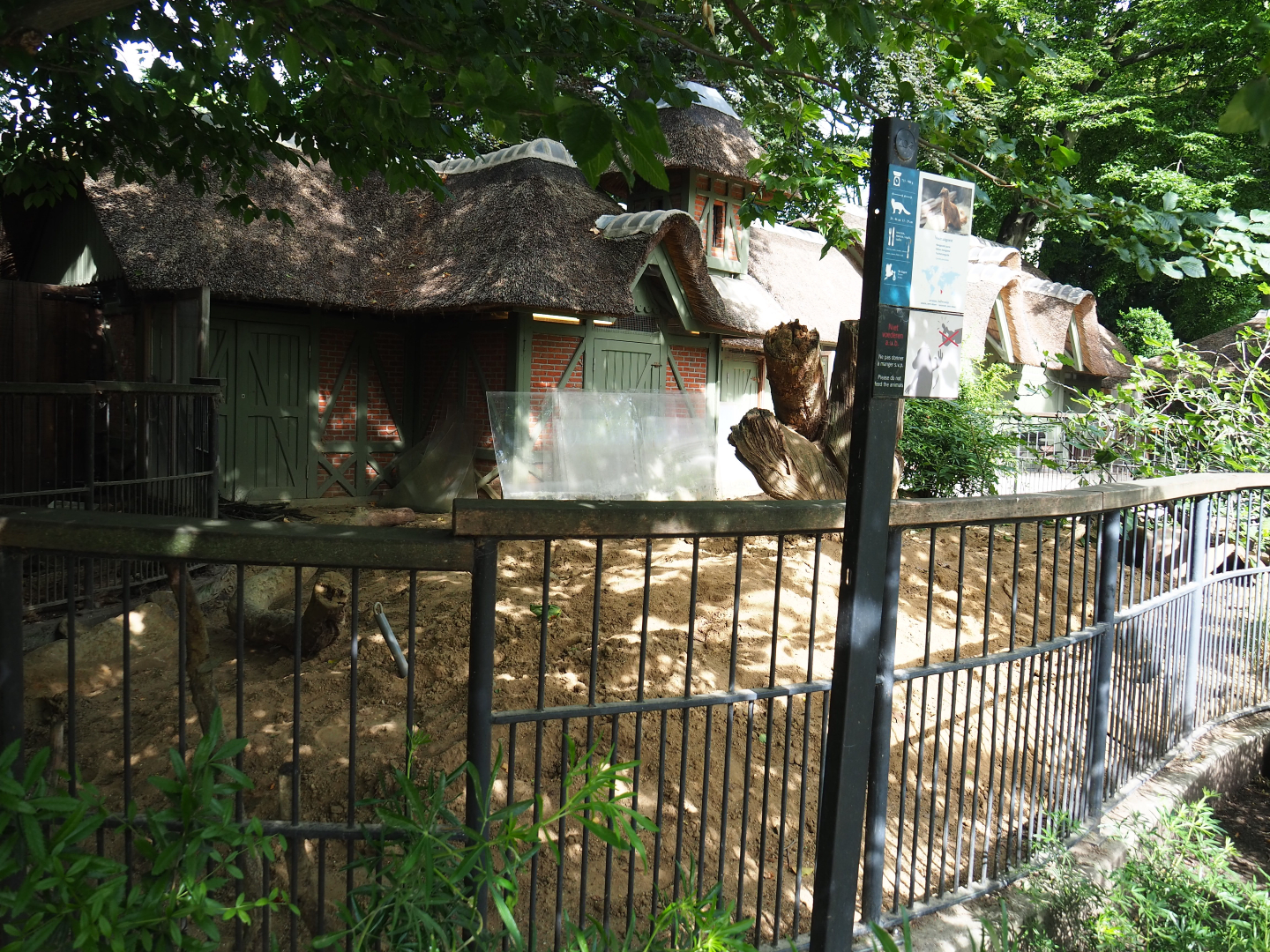 Former yellow mongoose exhibit being renovated to house Hermann's tortoises, 2020-06-28