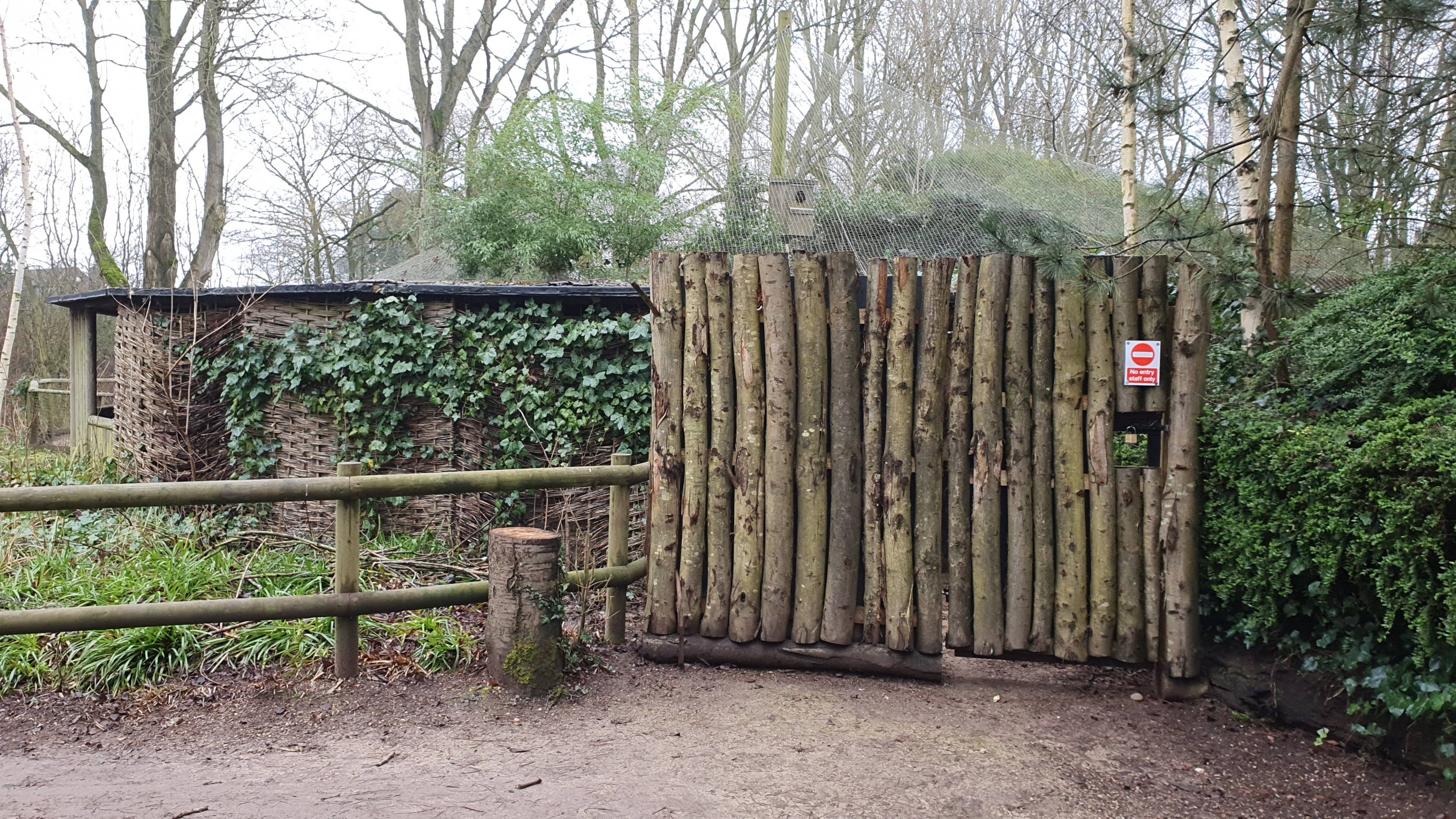 Former Yellow-throated Martin Exhibit at Twycross Zoo, 11th February 2024