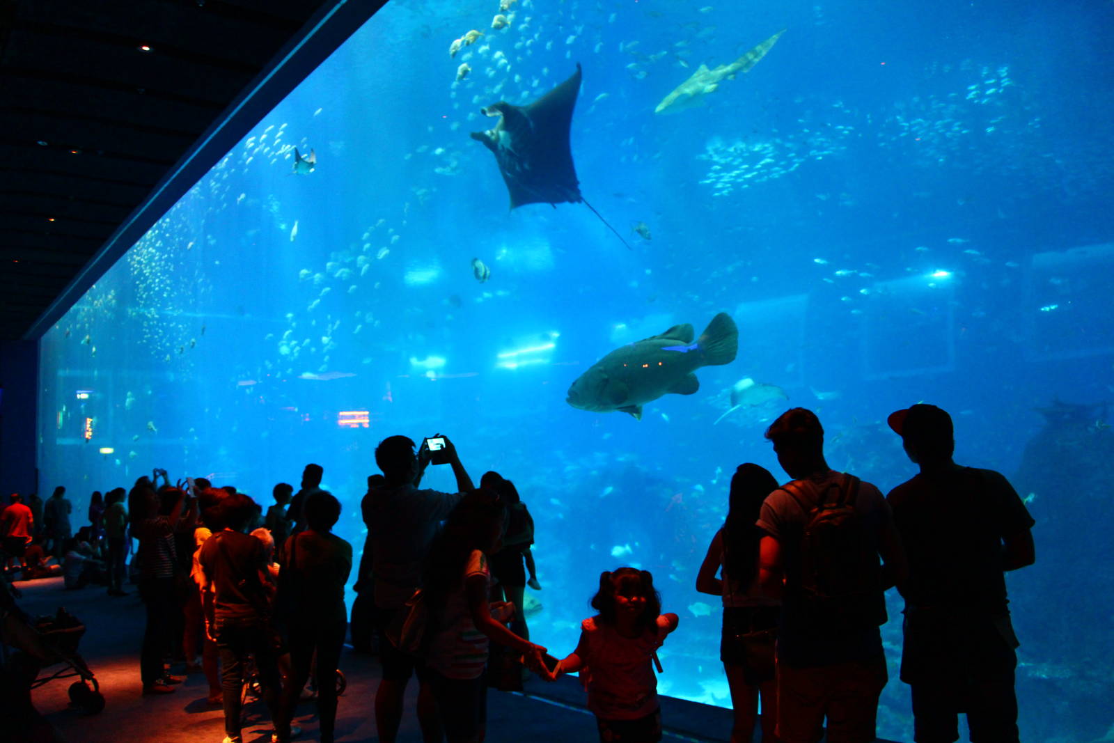 Formerly the world's largest acrylic window