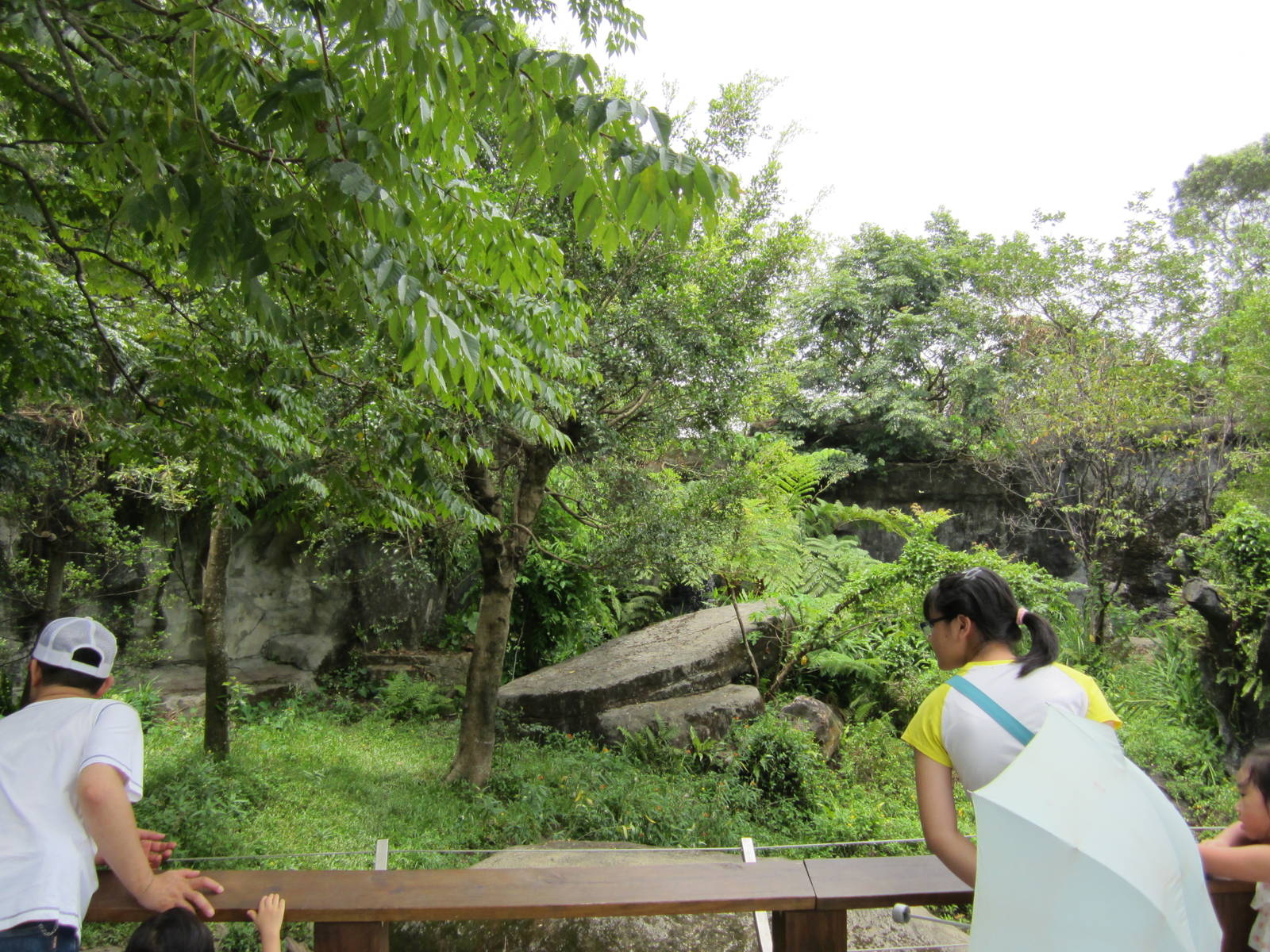 Formosan black bear exhibit