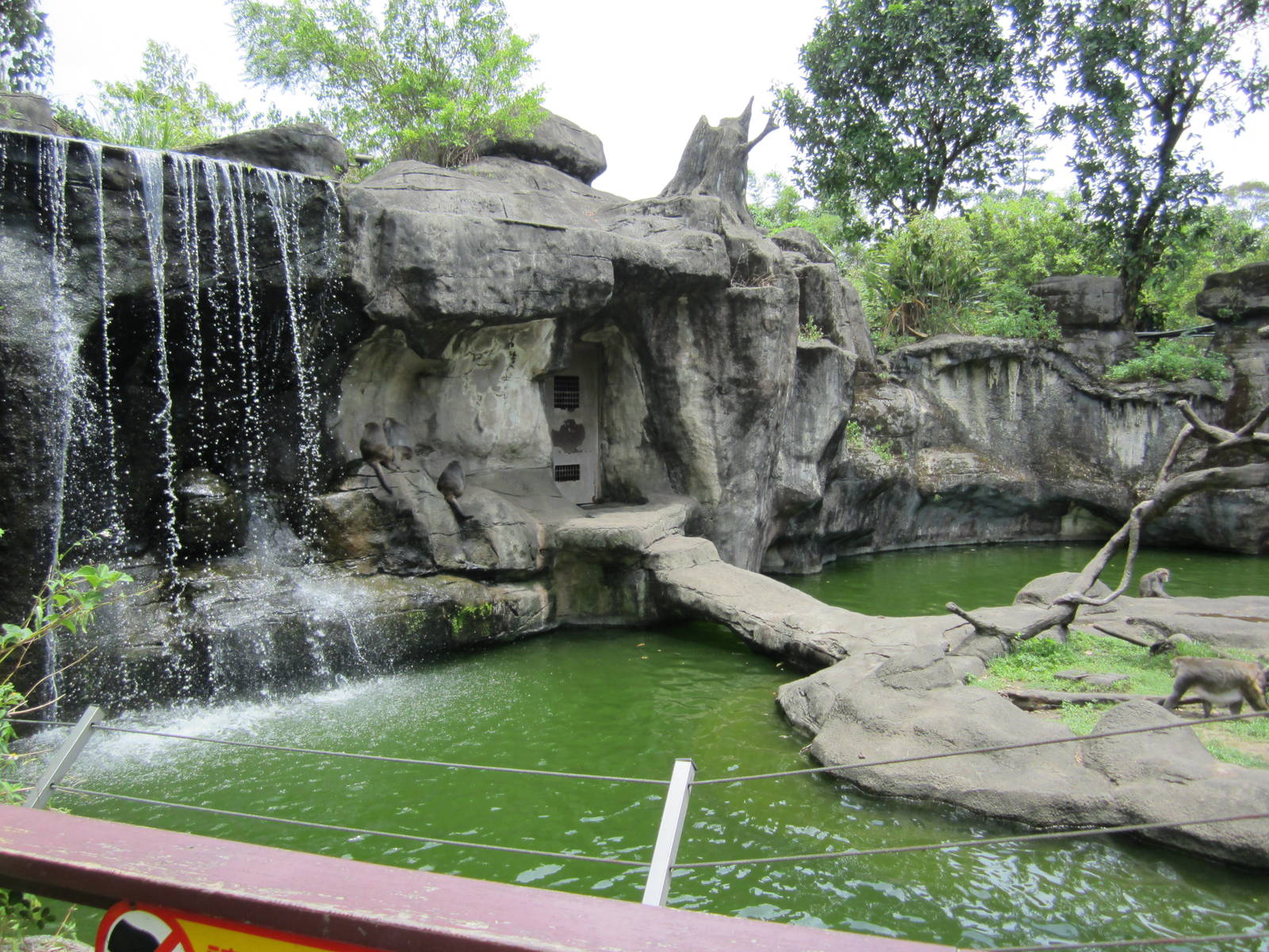 Formosan rock-monkey exhibit