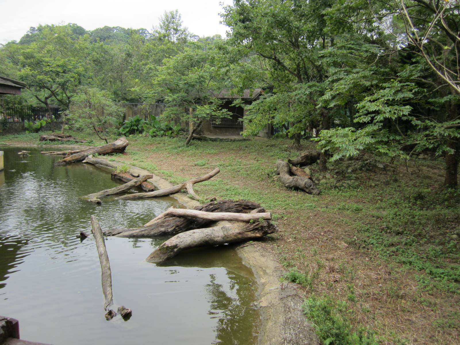 Formosan sika enclosure(old P?re David's deer exhibit)