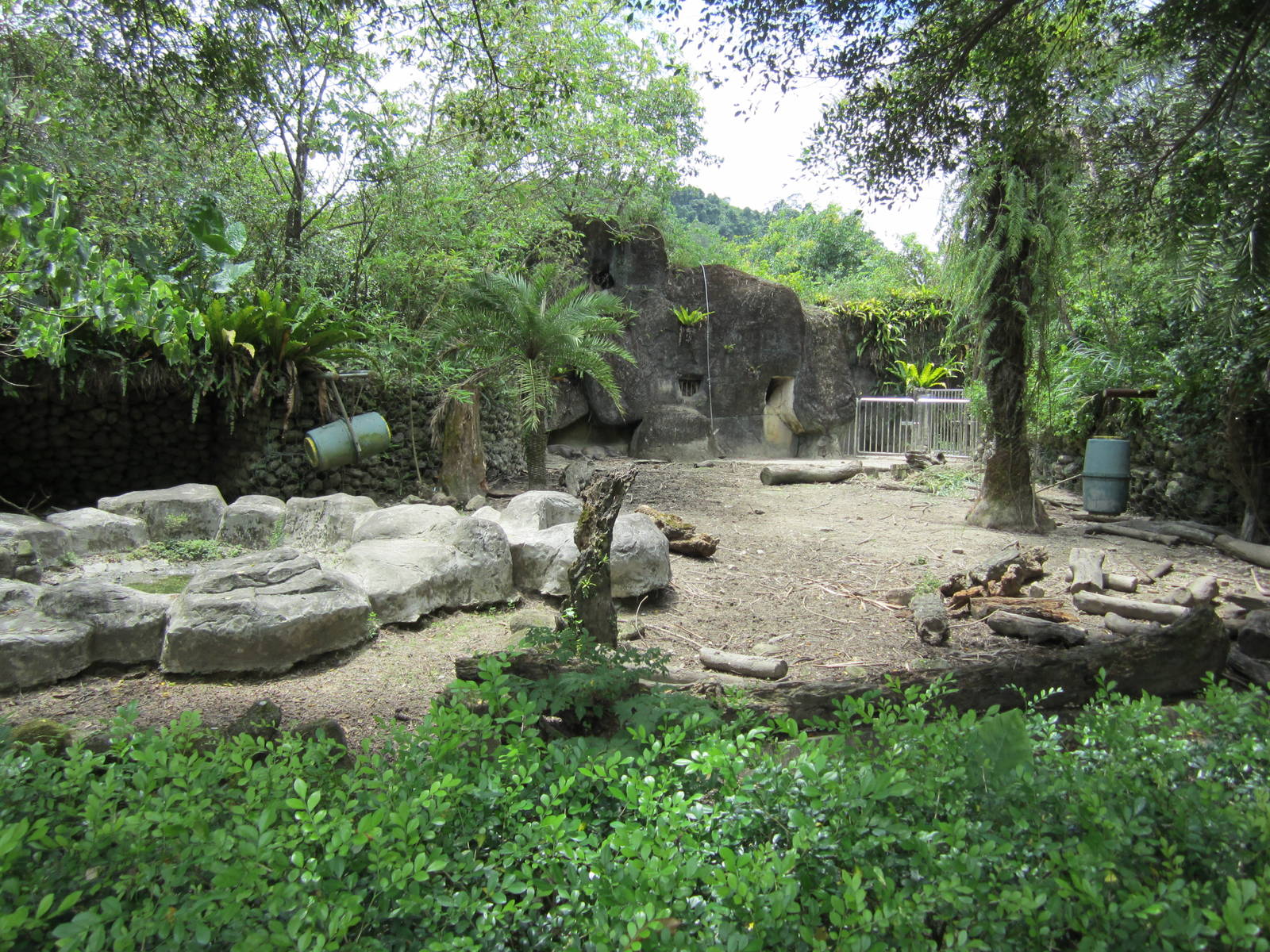 Formosan wild boar exhibit