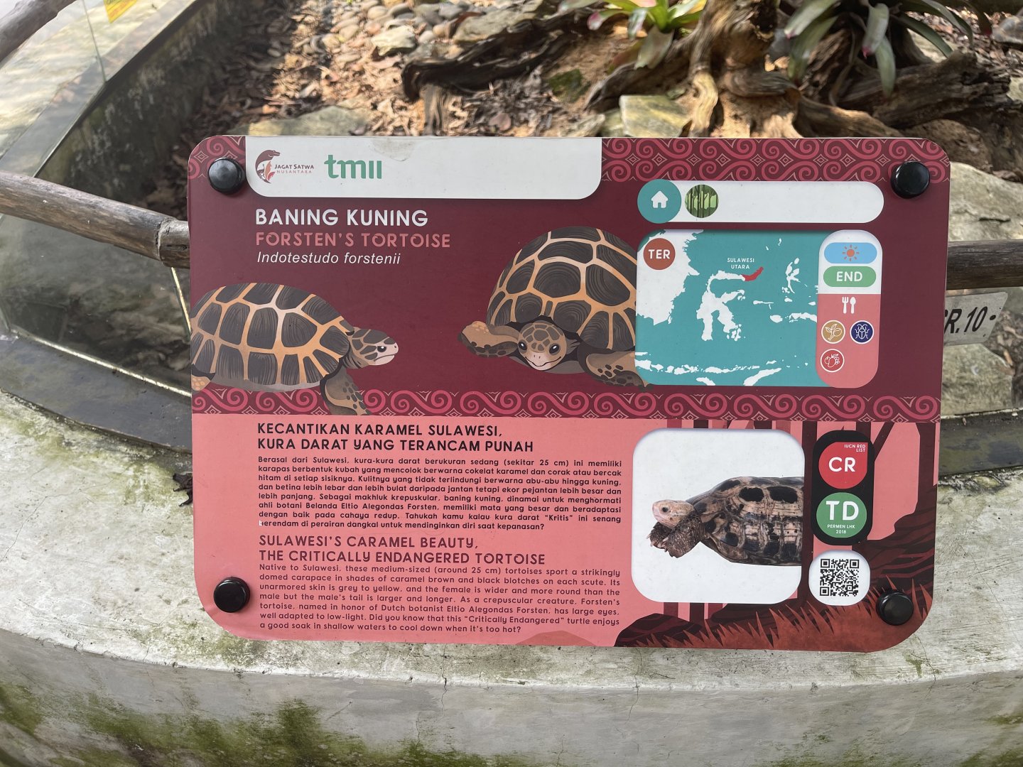 forsten’s tortoise signage - museum komodo