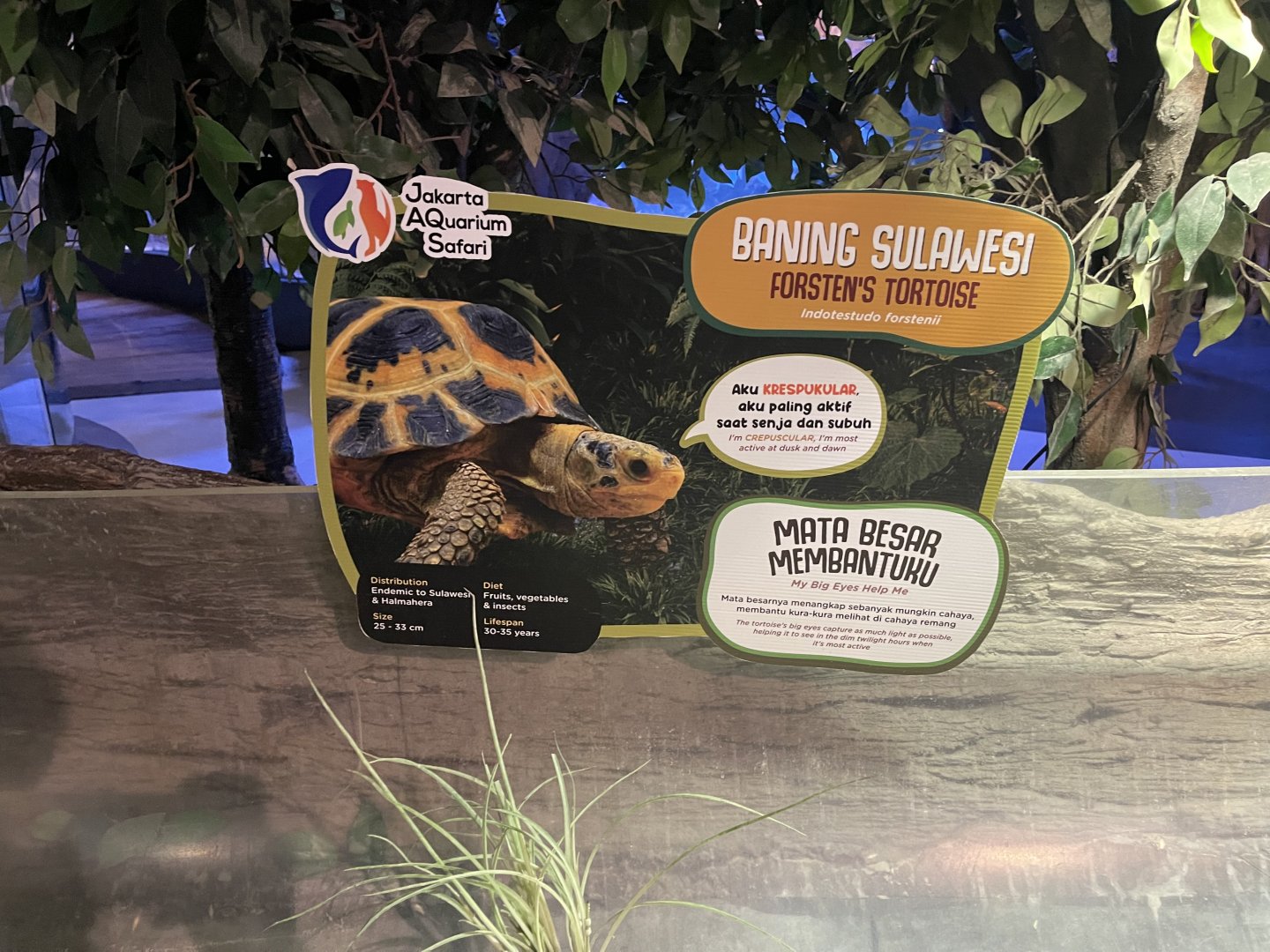 forsten’s tortoise signage