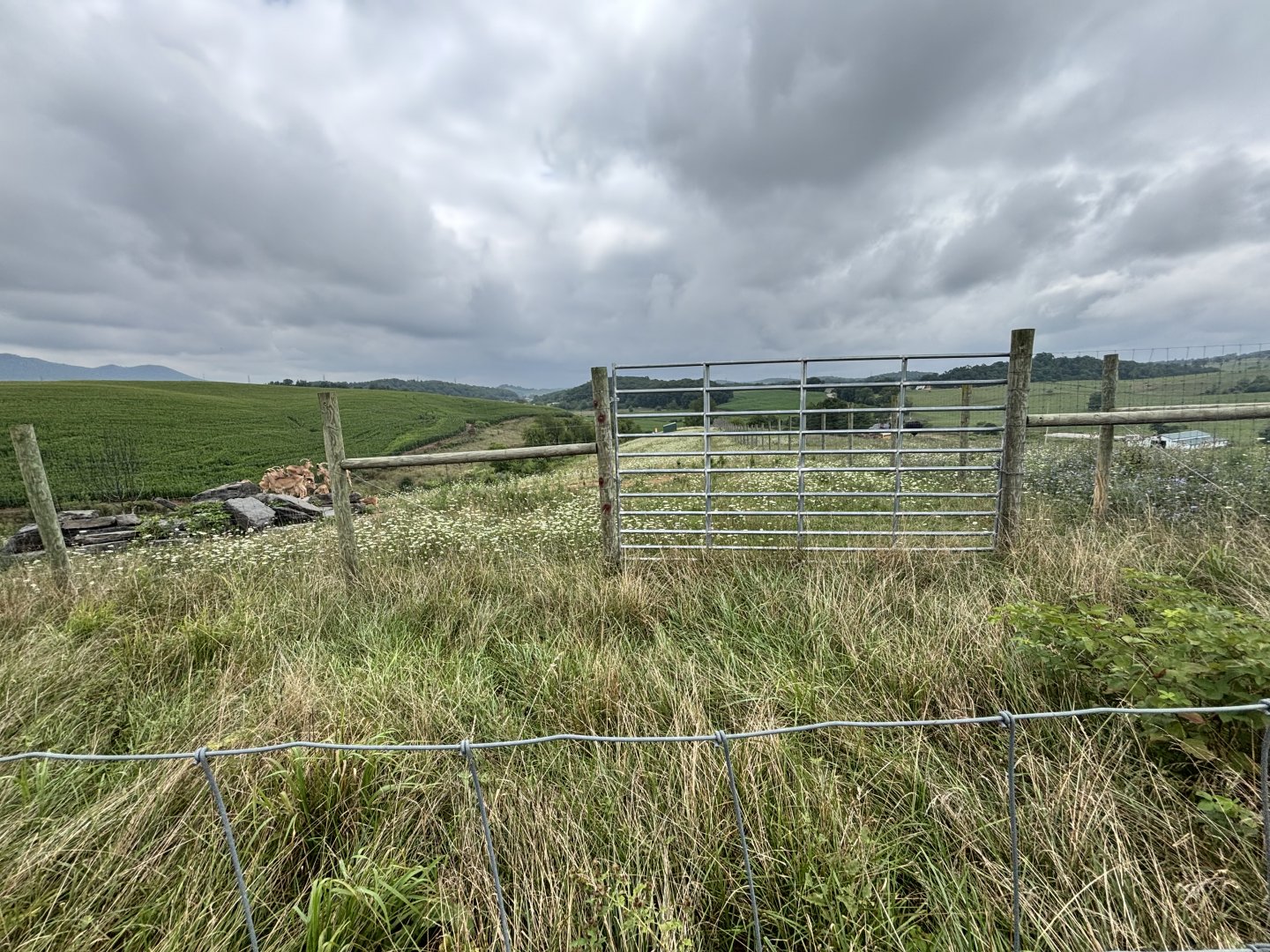 Fort Chiswell Animal Park- Aoudad exhibit