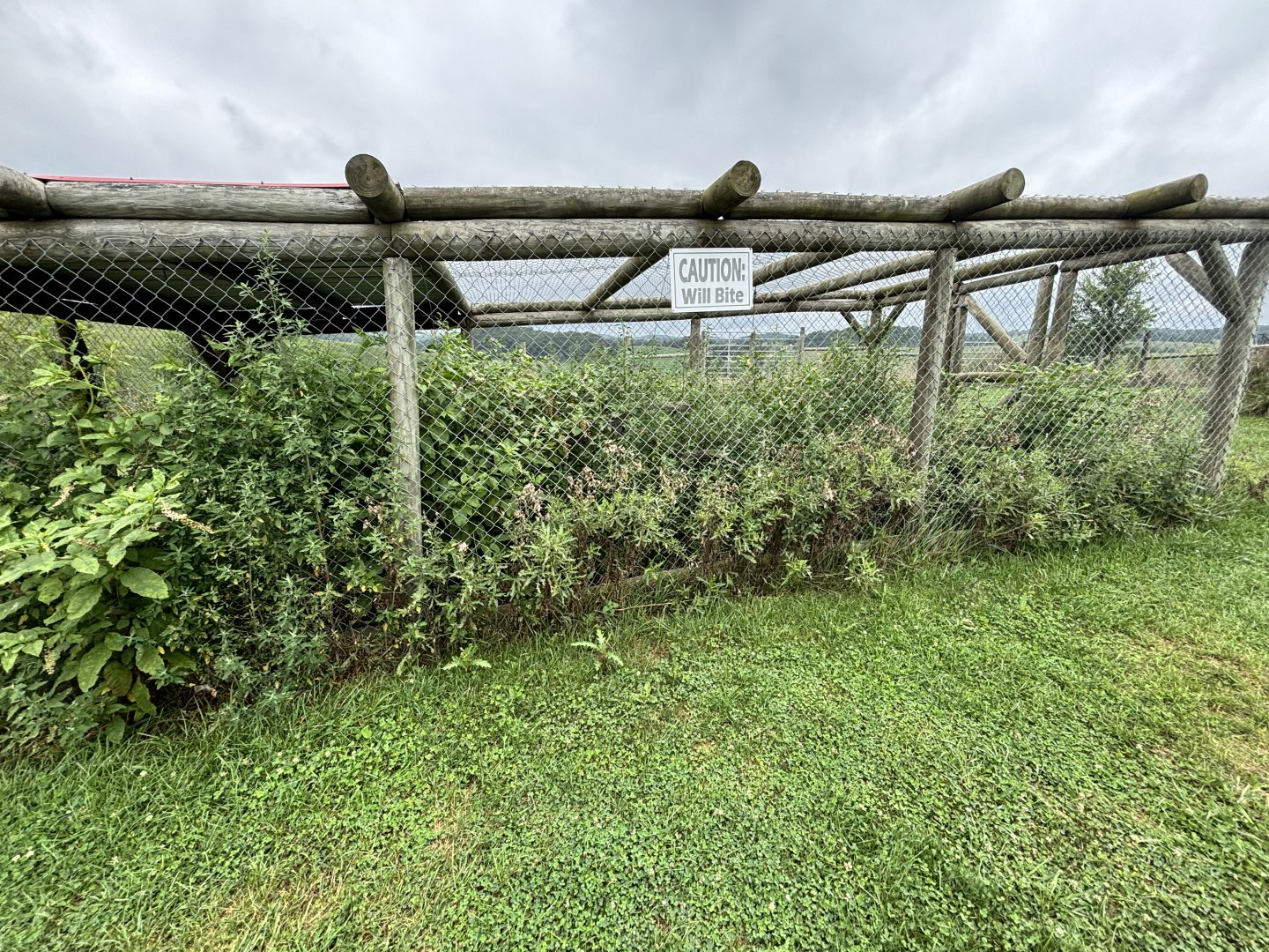Fort Chiswell Animal Park- Empty Aviary