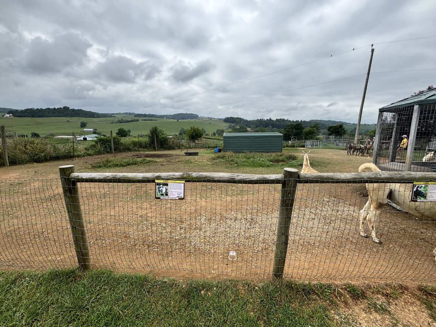 Fort Chiswell Animal Park- Llama/Alpaca/Goat exhibit
