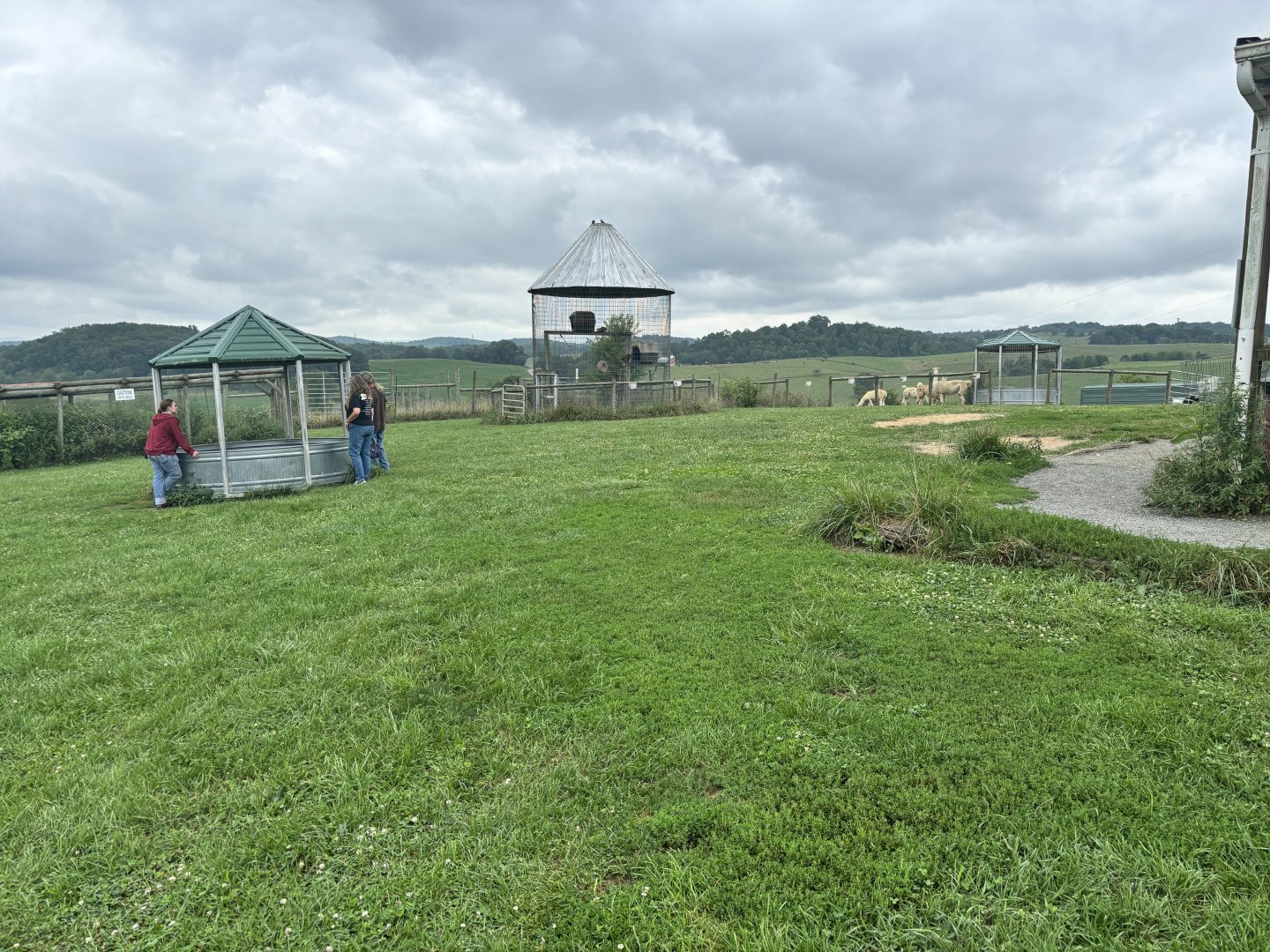 Fort Chiswell Animal Park- Main area
